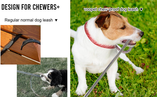 TPL Voopet Chew‑Proof Dog Leash Extension
